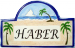 Blue Distressed Border