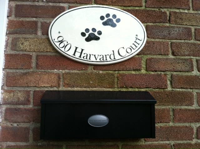 paw-prints-oval.jpg